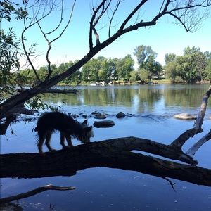 Meet your Posher, Maria